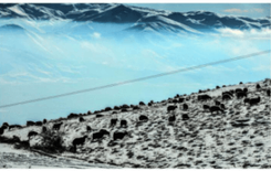 The Best Frames Captured by İhlas News Agency (İHA) Lenses in 2021 Have Been Selected.